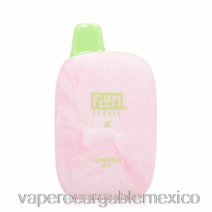 Vape Recargable Flum Pebble X 6000 Desechables Sunshine Icy